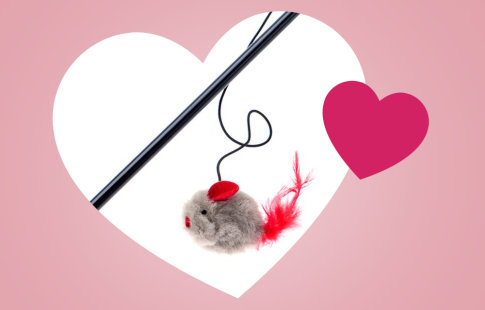 💕😺 Игрушка-мышка в подарок на День всех Влюблённых в zoochic