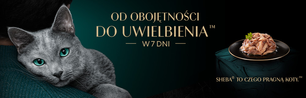 Od obojętności, do uwielbienia w 7 dni.