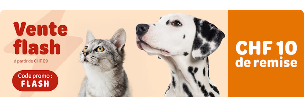 Vente flash: CHF 10 à partir de CHF 89 - Code promo: FLASH