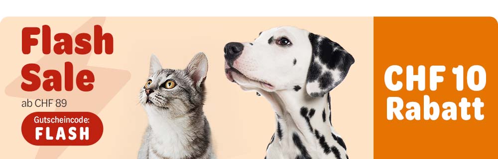 Flash Sale: CHF 10 Rabatt ab CHF 89 - Gutscheincode: FLASH
