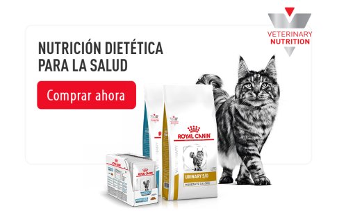 Royal Canin Veterinary Diets para gatos