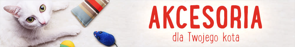 Akcesoria dla kota