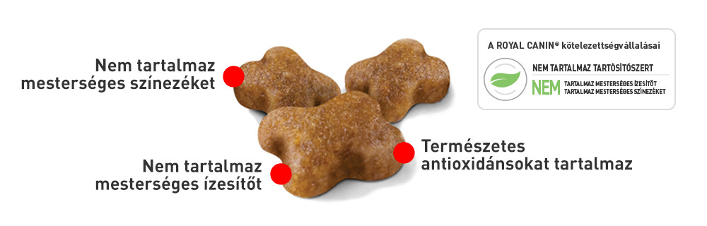 Testreszabott táp a kis szájak számára
