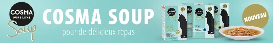 CAT - Cosma Soup - Mobile