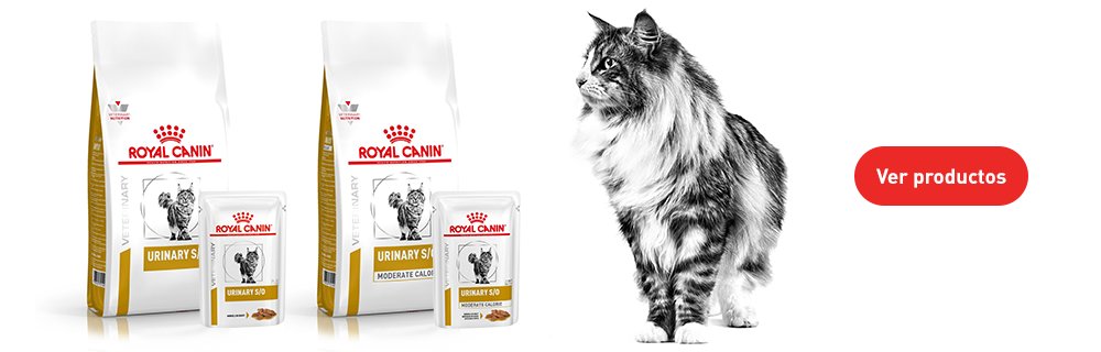 Royal Canin Veterinary Urinary para gatos 