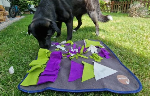 zoolove alfombra olfativa para perros