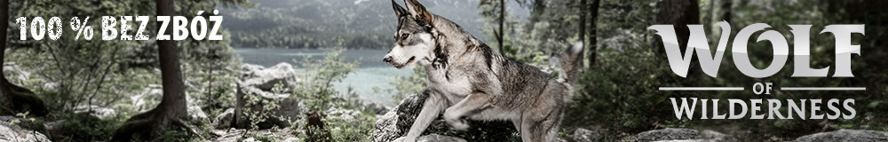 2021_10_WOW_General_Mood_Lake_PL