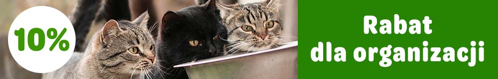 Rabat dla organizacji 10%.