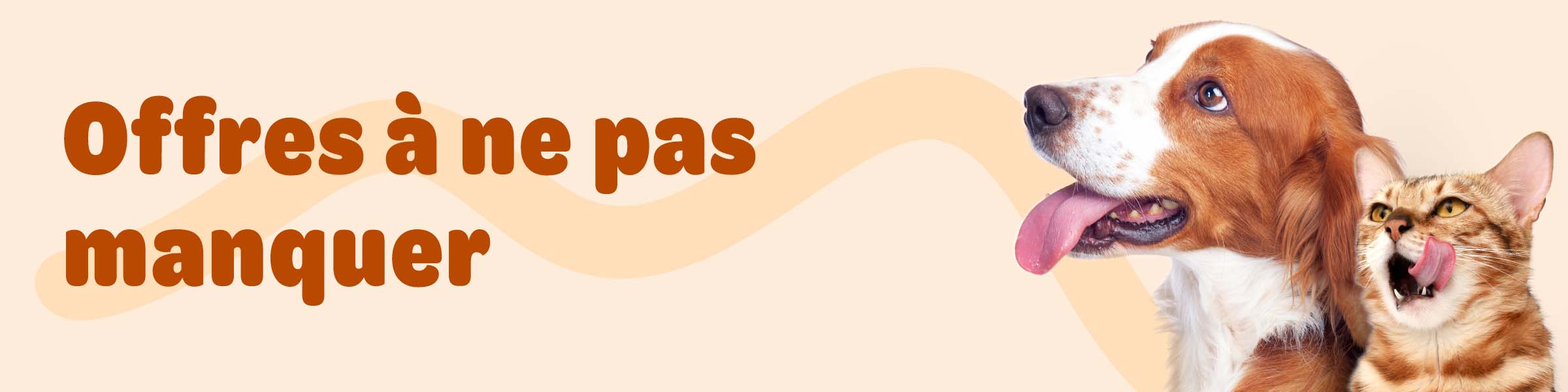 offres a ne pas rater