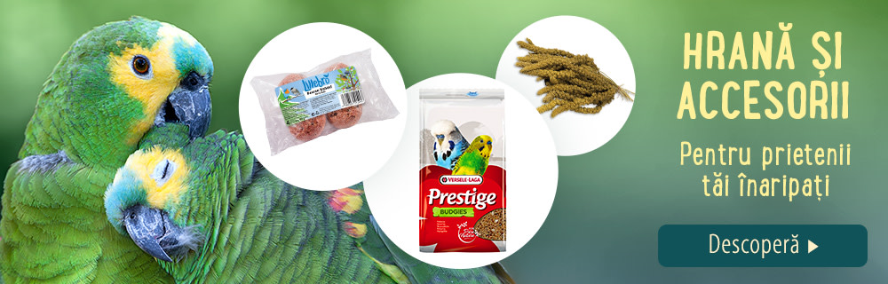 Hrană și accesorii pentru păsări