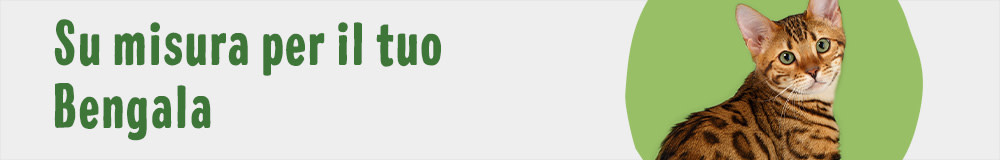 Cat Breed Bengal 1000x160 IT