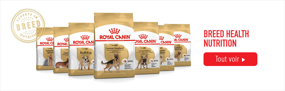 Croquettes Royal Canin Breed pour chien