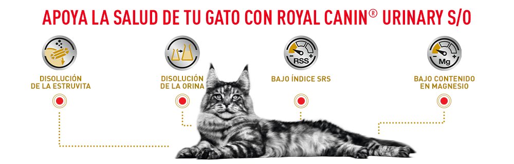 Apoya la salud de tu gato con Royal Canin Veterinary Urinary 