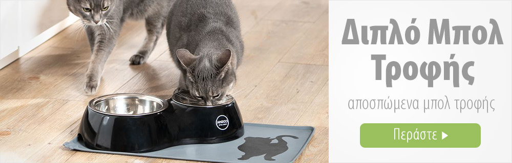 Cosma Dual Feeding Bowl