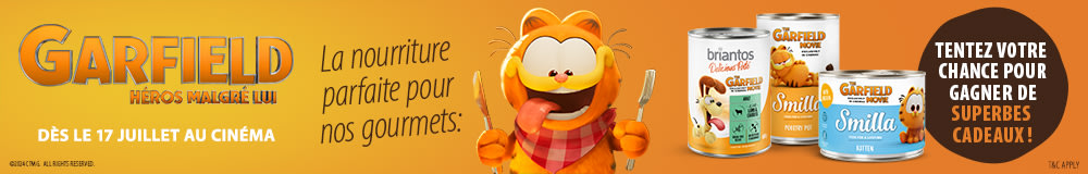 Garfield - la nourriture parfaite pour les gourmets
