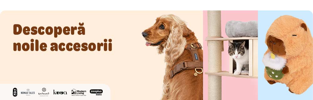Noile accesorii preferate pentru animalul tău de companie