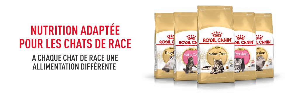 Nutrition adaptée pour les chats de race