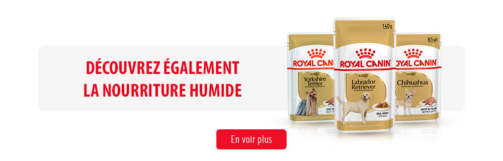 Royal Canin Breed Nutrition Subpage - Middle banner - Aliment Humide Image