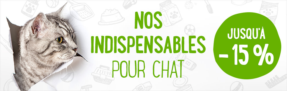 Les Indispensables pour Chat 