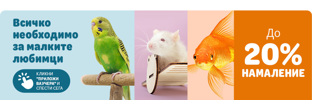 Всичко необходимо за малките любимци