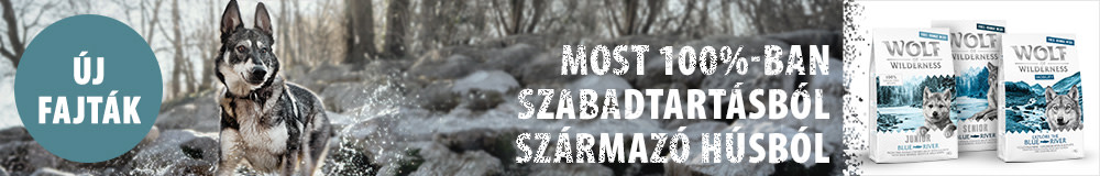 Wolf of Wilderness - Szabadon tartott 