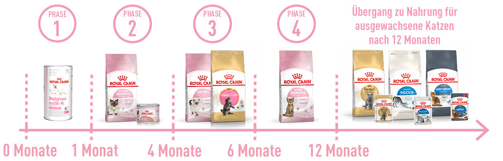 Für jede Phase das passende Produkt