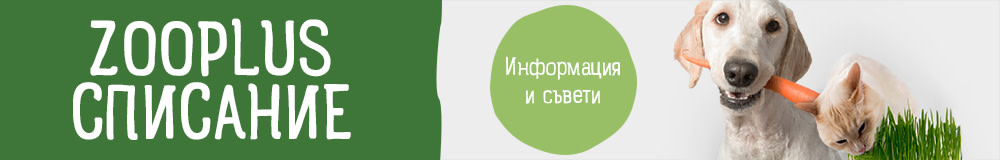 Списание