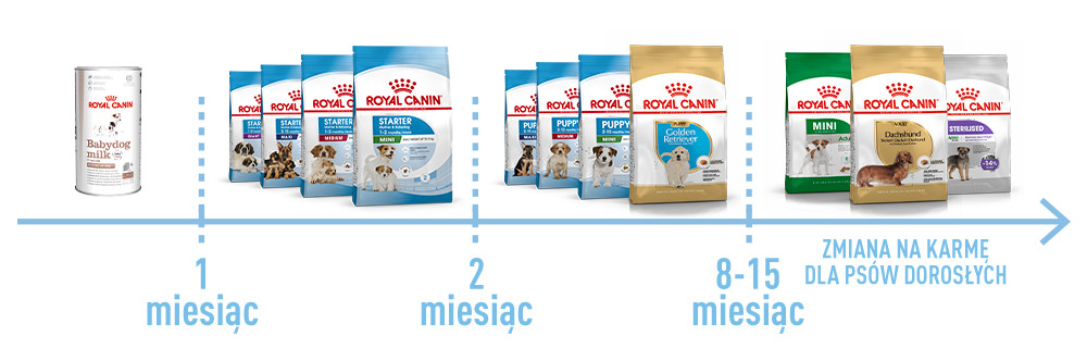 Royal Canin Junior