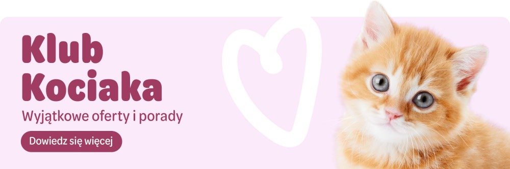 2025_01_KittenClub_General_PL