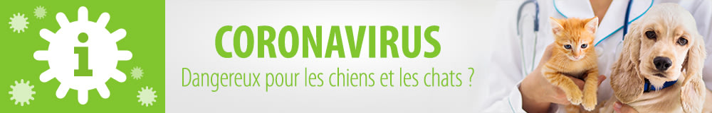 Informations sur le Coronavirus