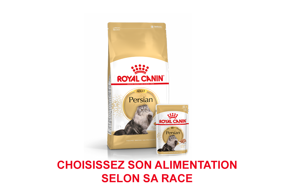 boutique-royal-canin-pour-chat-zooplus