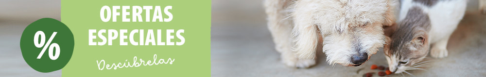 Ofertas de comida para gatos
