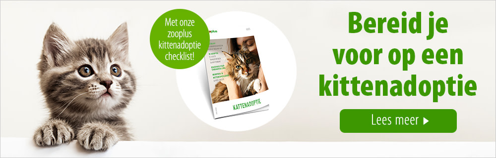 Content Topic - Kattenadoptie - Main Banner