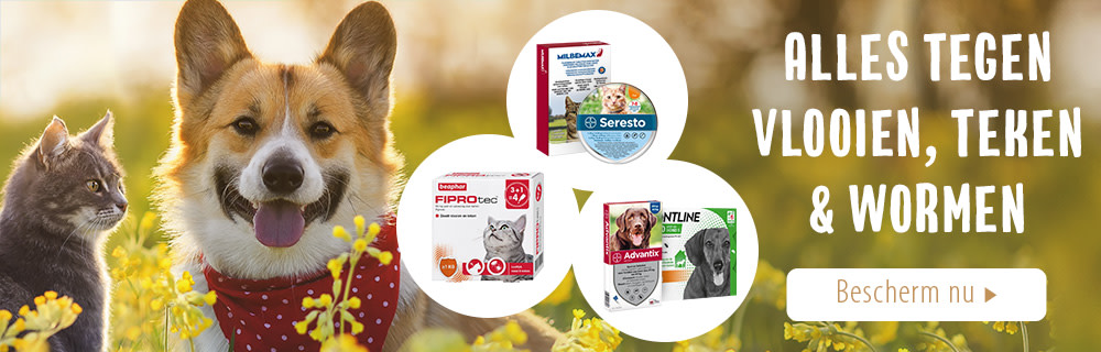 Alles tegen vlooien, teken & wormen