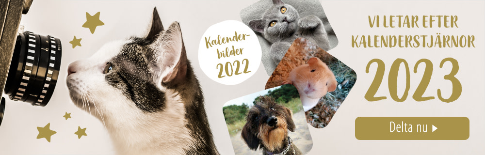 Zooplus kalender 2023