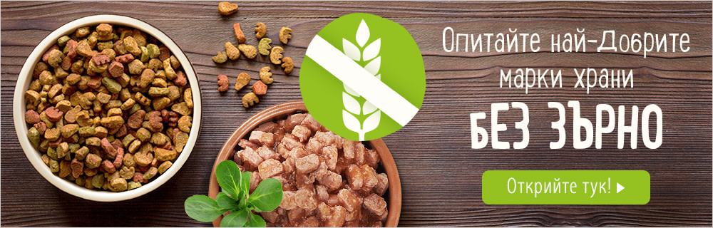 Храна без зърно