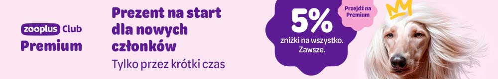 Prezent na start dla nowych członków. Tylko przez krótki czas %% zniżki na wszystko