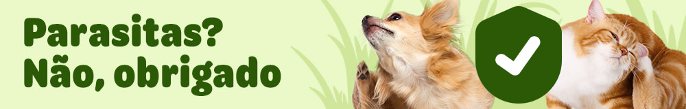 Parasitas? Não , obrigado! Proteja o seu animal de estimação