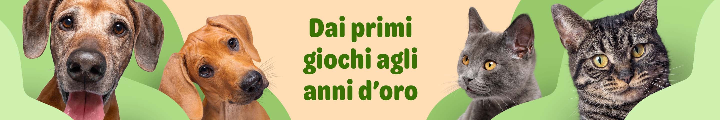  Sconti fino al 30% su prodotti per cani e gatti!