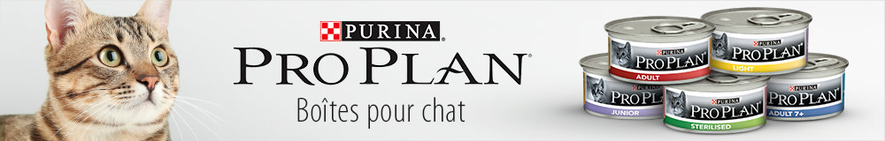 CAT - Pro Plan Wet - Desktop