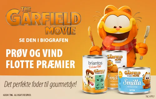 garfield