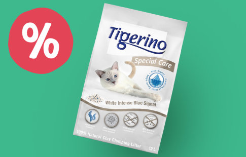 DOG & CAT - Pee & Poop - FR - Promotions - Tigerino Special Care