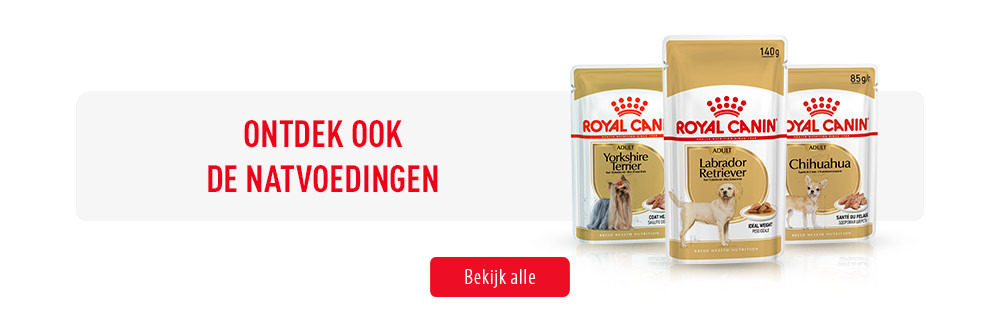 Natvoer Royal Canin