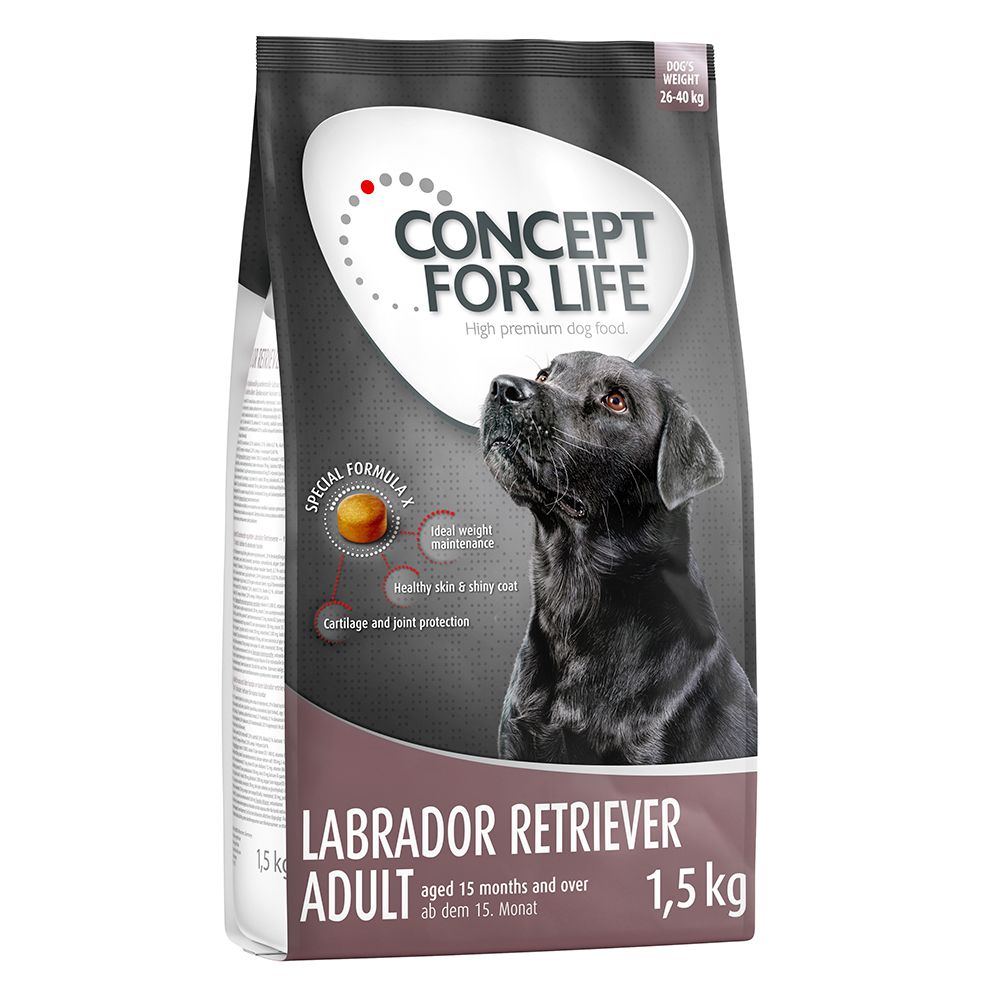 Concept for Life Labrador Retriever 