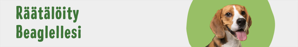 Dog Breed Beagle 1000x160 FI