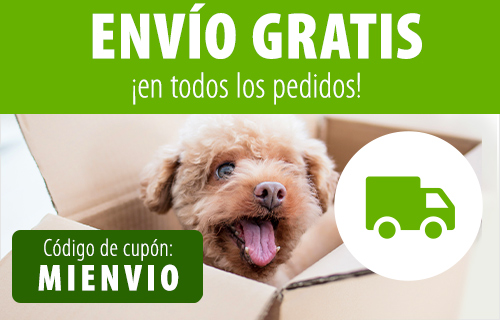 Envío gratis en todos los pedidos