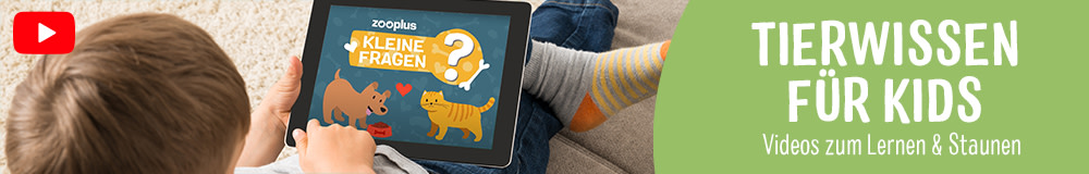 YouTube Kids - Tierwissen für Kids