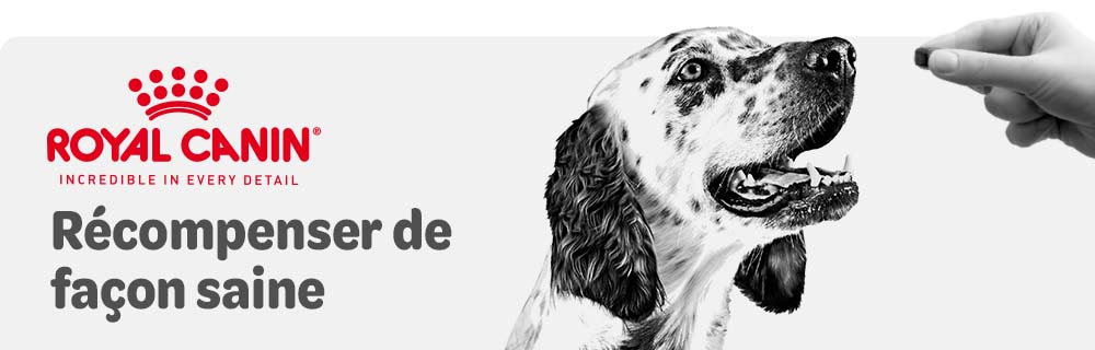 Friandises Royal Canin