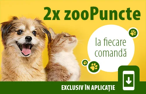 2 x zooPuncte la toate comenzile în APP