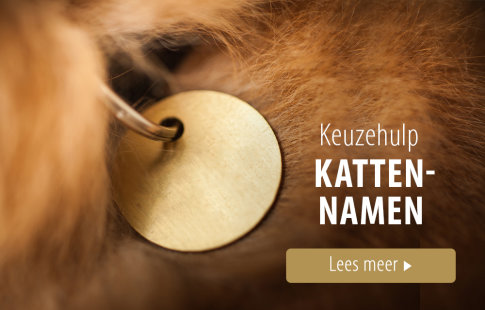 Keuzehulp voor kattenproducten - namen